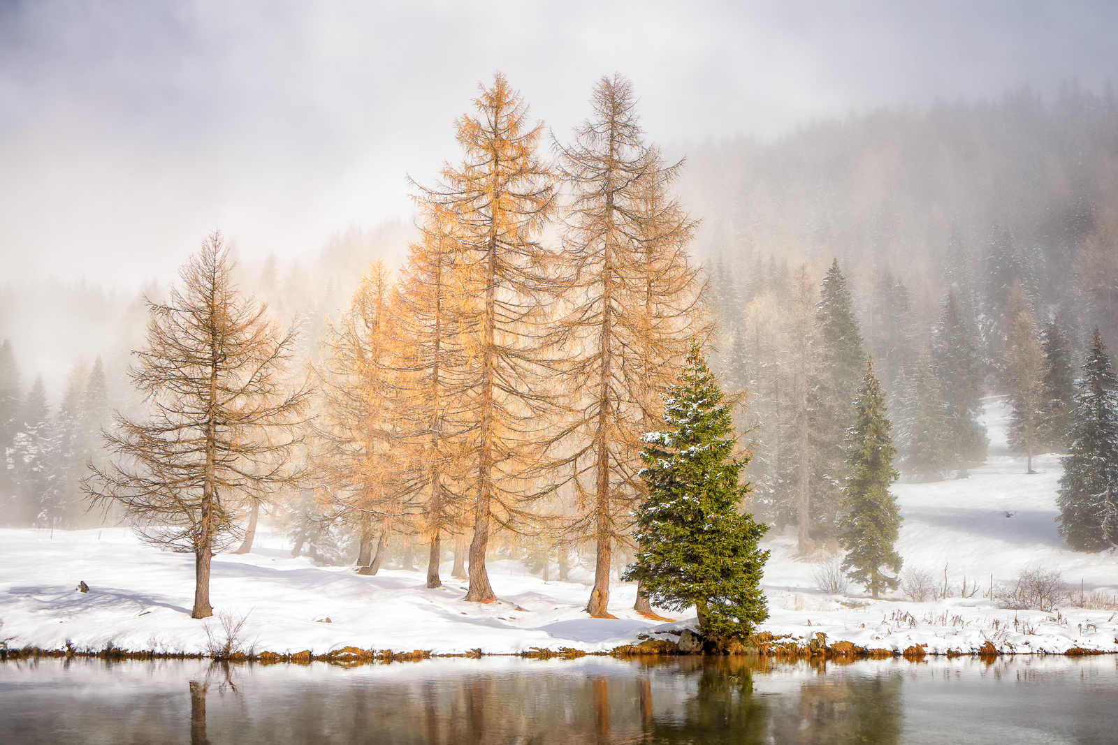 Autumn Symphony